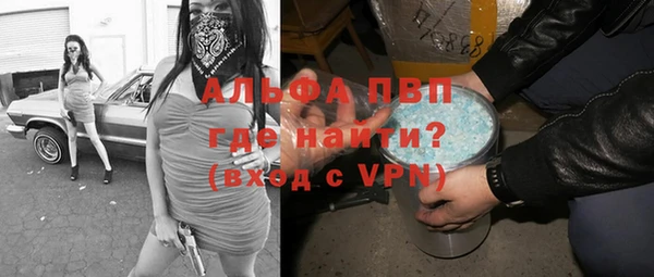сатива Магадан