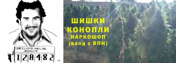 сатива Магадан