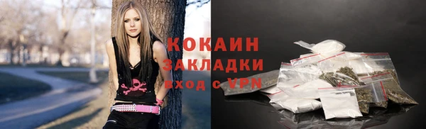 сатива Магадан